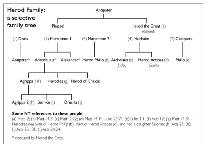 A chart showing the family tree of Herod